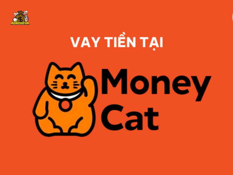 App Vay Tiền Online Moneycat